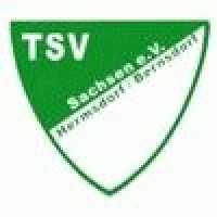 TSV Hermsdorf/B. II