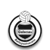 BSV Gelenau e.V.