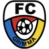 FC Grimma