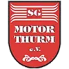Thurm / Mülsen II