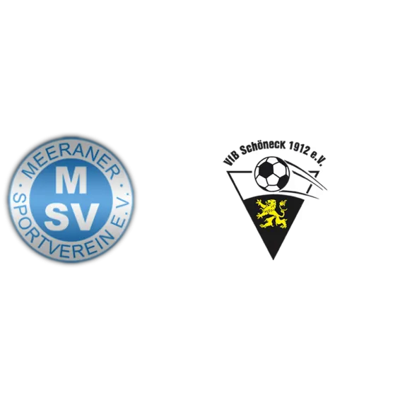 (1M) Meeraner SV <span class="nowrap bold mx-1">1 : 1</span> VfB Schöneck 1912