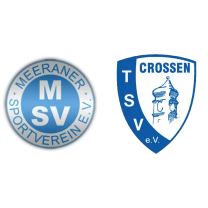 (AH) Meeraner SV AH <span class="nowrap bold mx-1">0 : 3</span> TSV Crossen AH