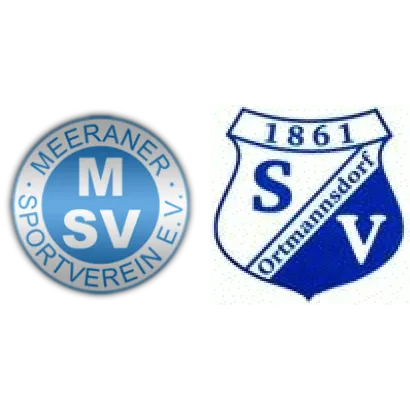 (2M) Meeraner SV II <span class="nowrap bold mx-1">0 : 3</span> O./N.2/Licht.2