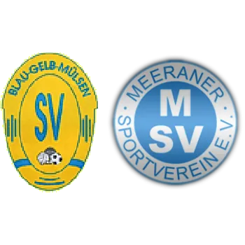 (1M) SV Blau-Gelb Mülsen <span class="nowrap bold mx-1">6 : 3</span> Meeraner SV