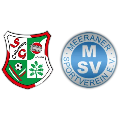 (2M) SG Callenberg <span class="nowrap bold mx-1">1 : 2</span> Meeraner SV II