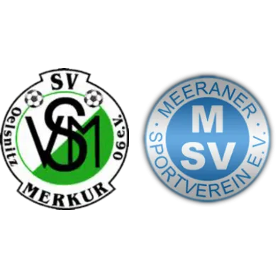 (1M) SV Merkur Oelsnitz <span class="nowrap bold mx-1">3 : 1</span> Meeraner SV