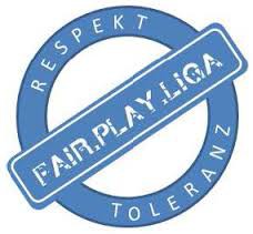 Kurzschulung Fair Play Liga