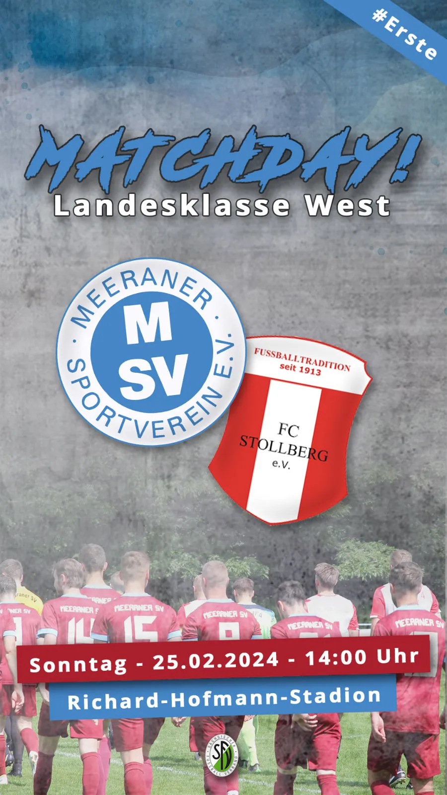 Vorbericht