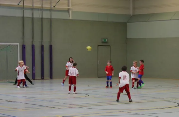 F-Jugend Hallenturnier in Meerane