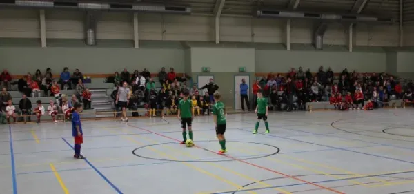 F-Jugend Hallenturnier in Meerane