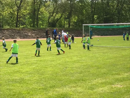 1. Mai Turnier des Meeraner SV der G-Junioren