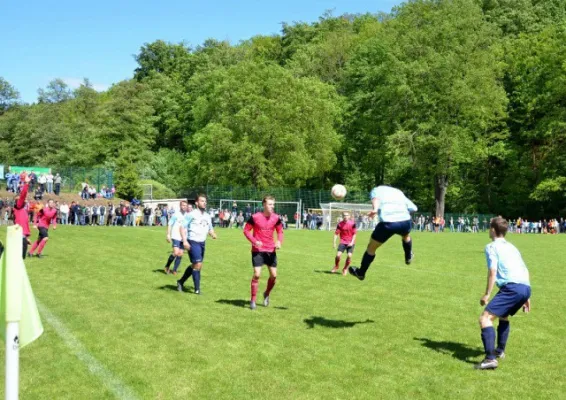 Glückauf-Pokal-Finale (Kreis Zwickau) 2013