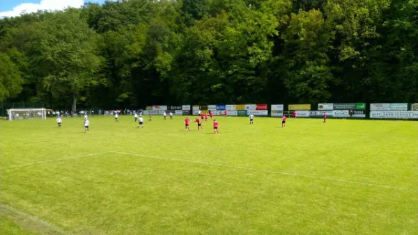 Glückauf-Pokal-Finale (Kreis Zwickau) 2013
