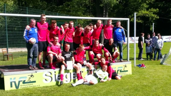 Glückauf-Pokal-Finale (Kreis Zwickau) 2013