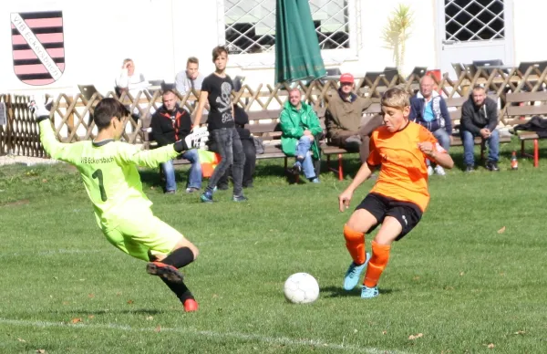 28.09.2019 VfB Eckersbach vs. SG Meerane/Mosel