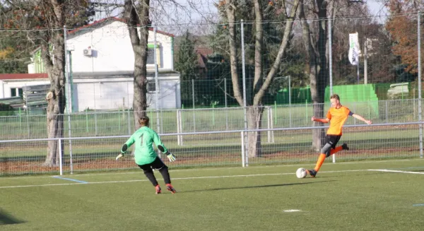 23.11.2019 VfB Empor Glauchau vs. SG Meerane/Mosel