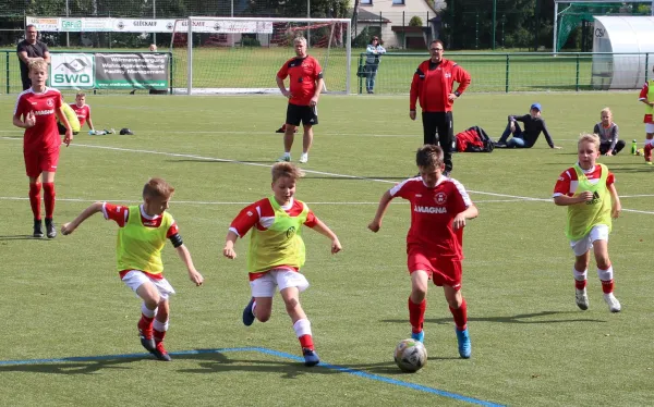 14.09.2019 Oberlungwitzer SV vs. Meeraner SV