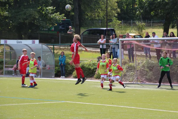 14.09.2019 Oberlungwitzer SV vs. Meeraner SV