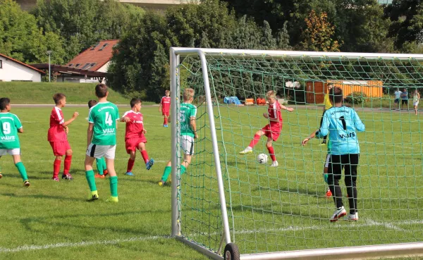 24.08.2019 FC Crimmitschau vs. Meeraner SV
