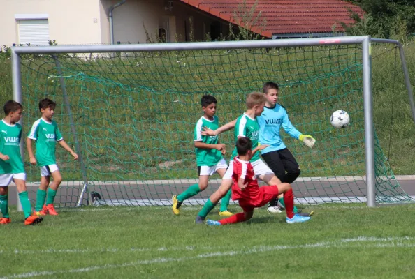 24.08.2019 FC Crimmitschau vs. Meeraner SV