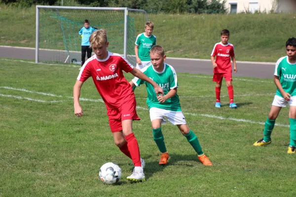 24.08.2019 FC Crimmitschau vs. Meeraner SV