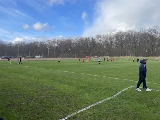 24.03.2024 TSV IFA Chemnitz vs. Meeraner SV