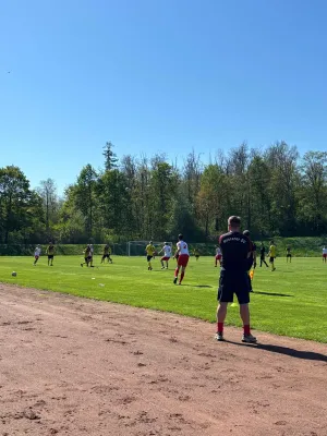 27.04.2025 Meeraner SV vs. SV Planitz