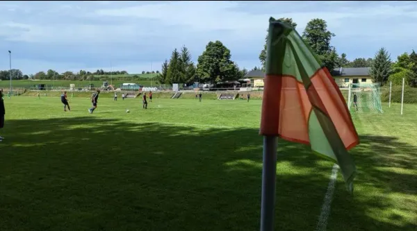 17.08.2024 SV Mülsen St. Niclas vs. Meeraner SV