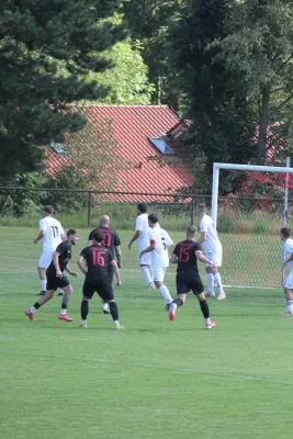 31.08.2025 ESV Lok Zwickau vs. Meeraner SV
