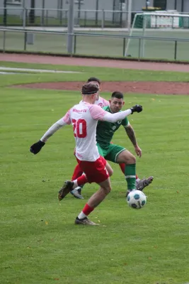 26.10.2025 SV Merkur Oelsnitz vs. Meeraner SV