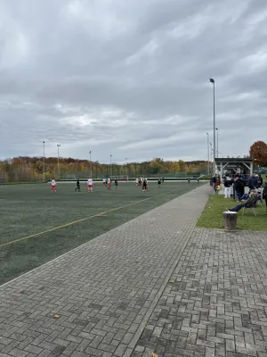 02.11.2025 Meeraner SV vs. VfB Schöneck 1912