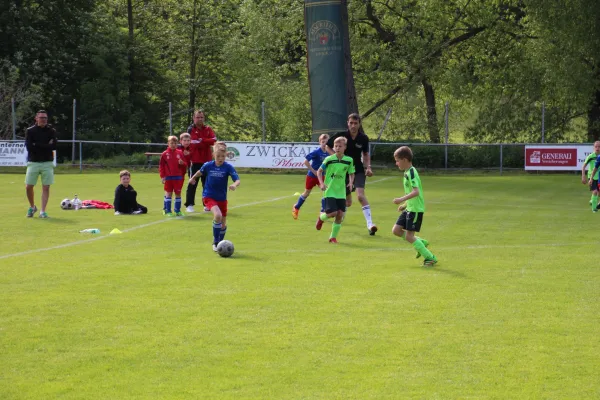 21.05.2016 Steinpleis-Werdau vs. Meeraner SV