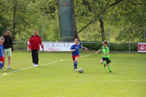 21.05.2016 Steinpleis-Werdau vs. Meeraner SV