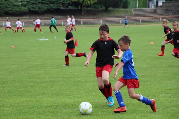 04.06.2016 Meeraner SV vs. Oberlungwitzer SV