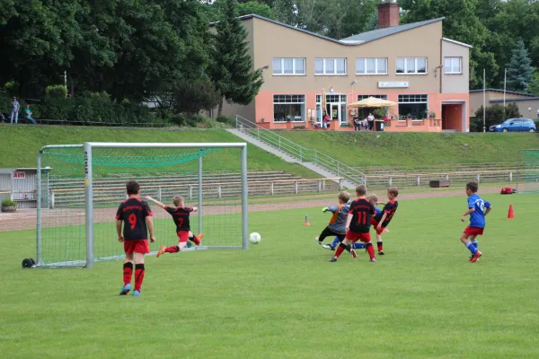 04.06.2016 Meeraner SV vs. Oberlungwitzer SV