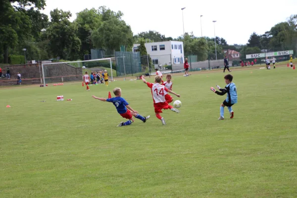 15.06.2016 Meeraner SV vs. FSV Zwickau