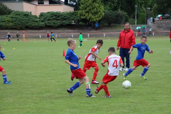 15.06.2016 Meeraner SV vs. FSV Zwickau