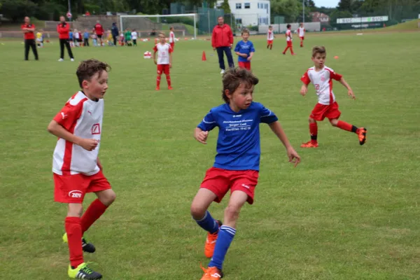 15.06.2016 Meeraner SV vs. FSV Zwickau