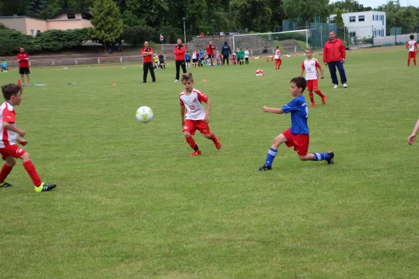 15.06.2016 Meeraner SV vs. FSV Zwickau