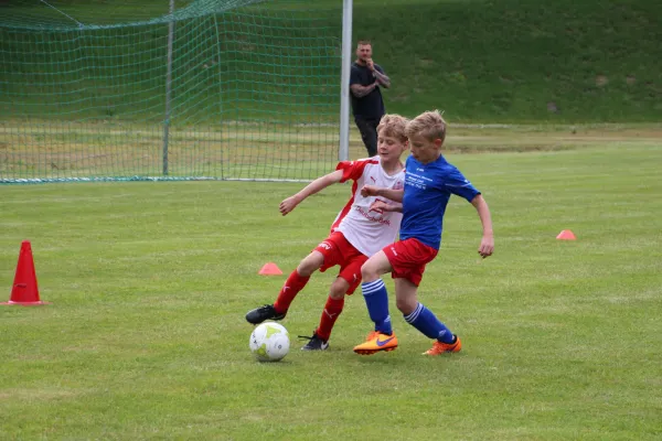 15.06.2016 Meeraner SV vs. FSV Zwickau