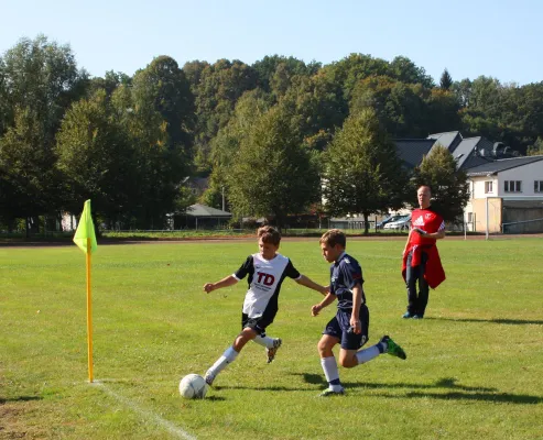03.10.2015 SSV St. Egidien vs. Meeraner SV