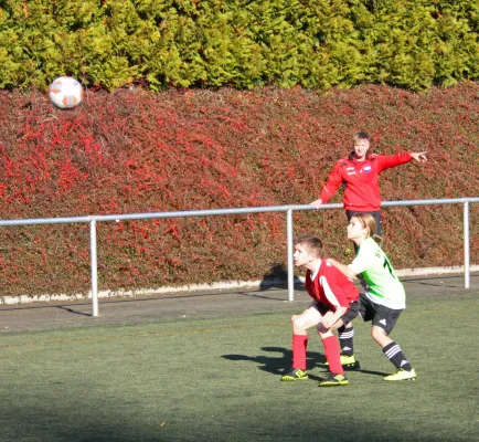 08.11.2015 SV Mülsen St. Niclas vs. Meeraner SV
