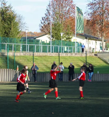 08.11.2015 SV Mülsen St. Niclas vs. Meeraner SV