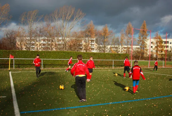 14.11.2015 SV Motor Zwickau-Süd vs. Meeraner SV