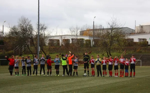 14.11.2015 SV Motor Zwickau-Süd vs. Meeraner SV