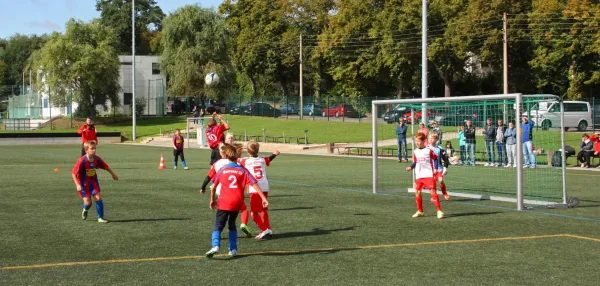 05.09.2015 Meeraner SV vs. FSV Zwickau