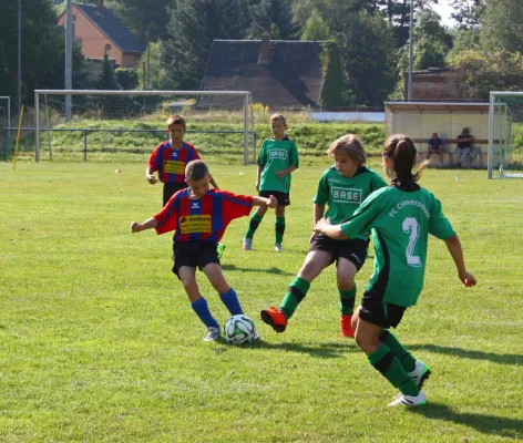 22.08.2015 FC Crimmitschau vs. Meeraner SV