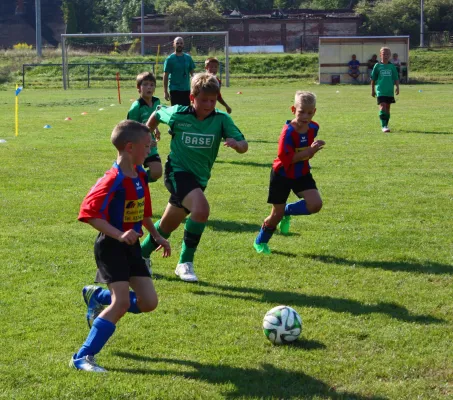 22.08.2015 FC Crimmitschau vs. Meeraner SV