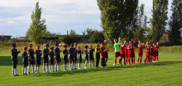 25.08.2015 SV Einheit Altenburg vs. Meeraner SV