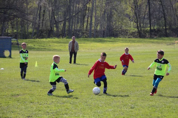 30.04.2016 VSG Fraureuth/R. vs. Meeraner SV